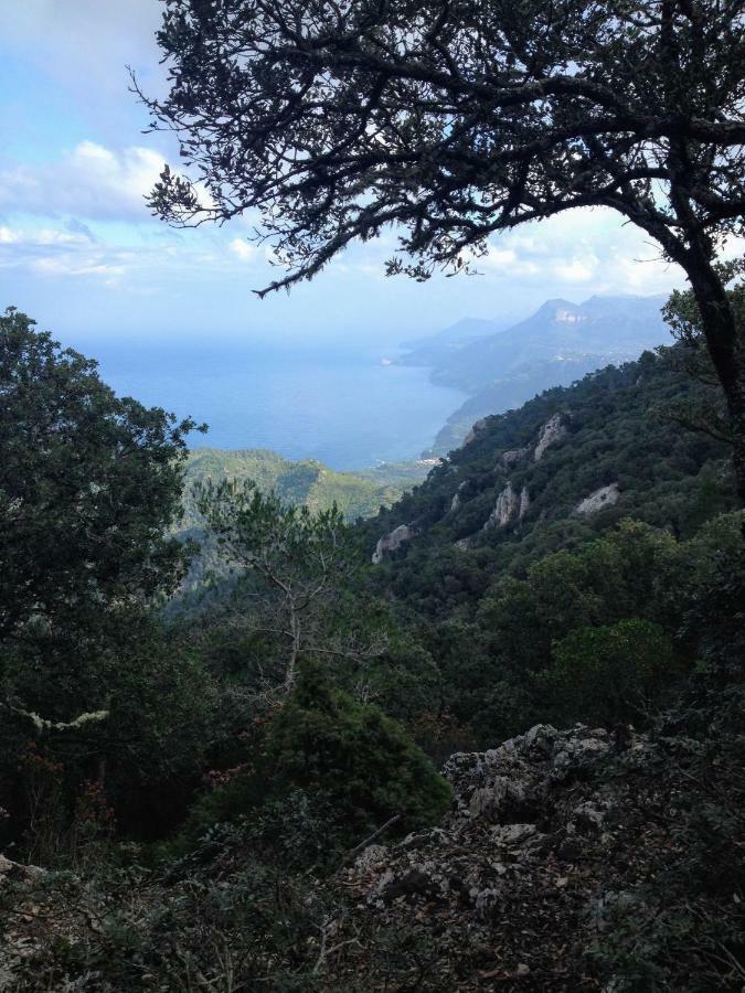 Home In Tramuntana Port des Canonge المظهر الخارجي الصورة
